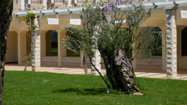 Het grondgebied van het park Sveti Stefan voor het eiland. M — Stockvideo