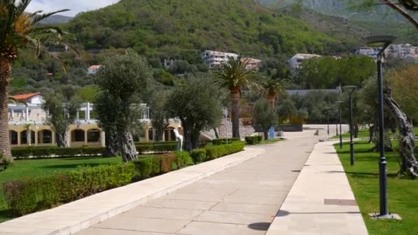 Das Gebiet des Parks sveti stefan vor der Insel. Ich bin — Stockvideo