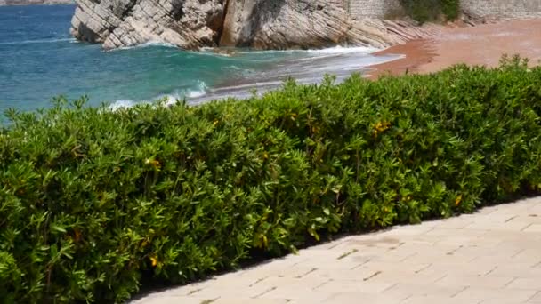 Private beach of the hotel Sveti Stefan, near the island. Monten — Stock Video