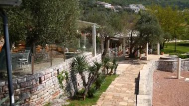 Zeytin ağaçları Cafe. Karadağ