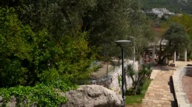 Zeytin ağaçları Cafe. Karadağ