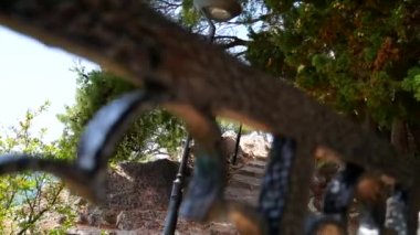 Dövme metal ürünler. Güneşlik kapılar, kapı için
