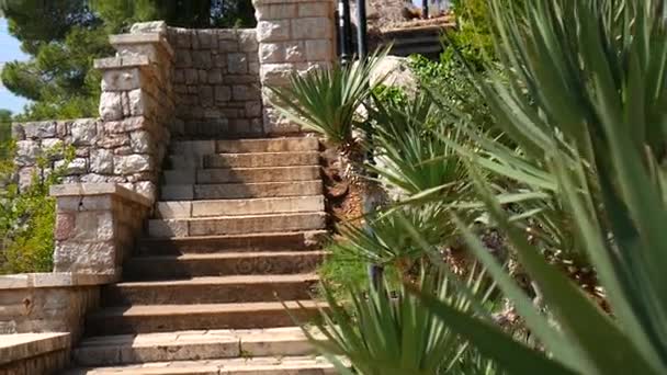 Karadağ, Park Milocer, Sveti Stefan'ın taş merdiven. — Stok video