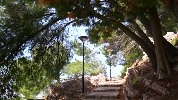Steintreppen in montenegro, im park milocer, sveti stefan. — Stockvideo