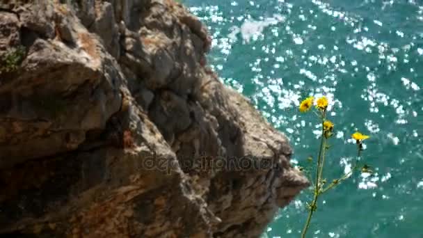 Rocas en el mar en Montenegro. Costa rocosa. Playa salvaje. Dangero — Vídeos de Stock