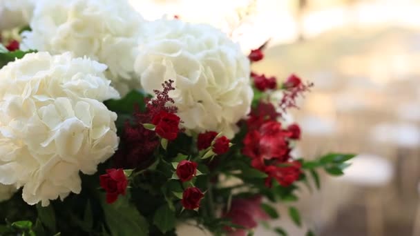 De bloemen van de Hortensia in een pot. Huwelijksdecoratie in Montenegro — Stockvideo