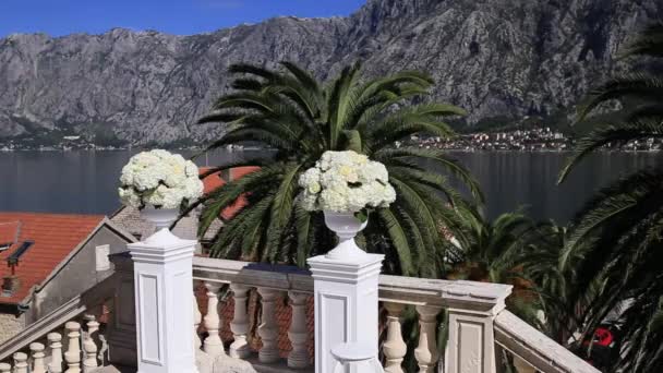 Hydrangea flowers in a pot. Wedding decorations in Montenegro — Stock Video