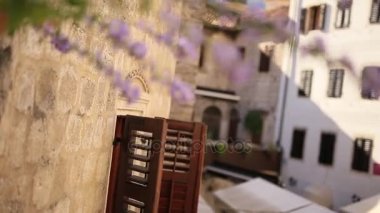 Kotor duvarından mor çiçeklerin. Çiçekler ve ağaçlar içinde