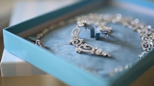 Joyería de novia. Pendientes, collares, anillos, relojes — Vídeo de stock