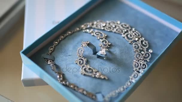 新娘珠宝。耳环、 项链、 戒指、 手表 — 图库视频影像