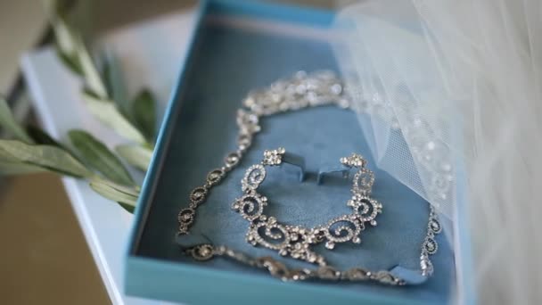 新娘珠宝。耳环、 项链、 戒指、 手表 — 图库视频影像