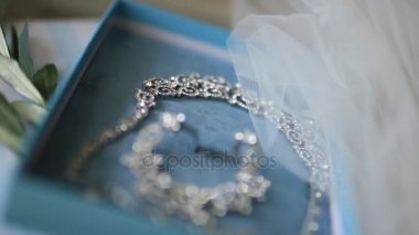 Gelin Takı. Küpe, kolye, yüzük, saatler