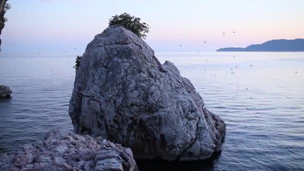 Rotsen aan de zee in Montenegro. Rotsachtige kust. Wild strand. Dangero — Stockvideo