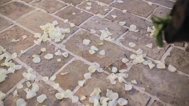 Rose petals on the floor. Wedding tradition of showering newlywe — Stock Video