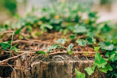 Alyans güdük üzerinde