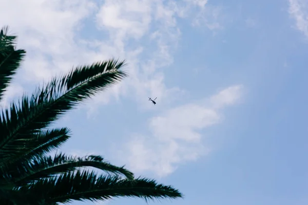 Helicóptero turístico na vista do céu de palmeiras. Céu azul e c — Fotografia de Stock