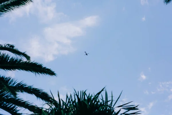 Tourist helicopter in the sky view of palm trees. Blue sky and c — Stock Photo, Image