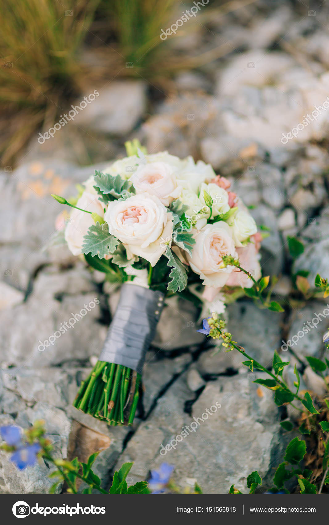 Wedding Bridal Bouquet Of Lisianthus And Cineraria Silver On The Stock Photo C Nadtochiy 151566818