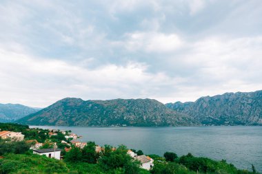 Kotor, Karadağ'defne