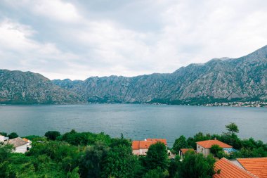 Kotor, Karadağ'defne