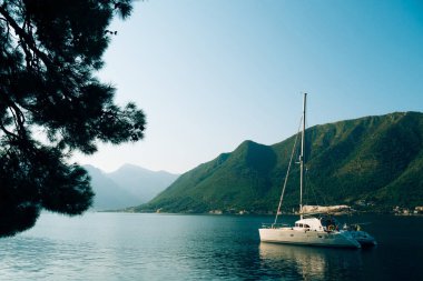 Yatlar, tekneler, gemiler Kotor Körfezi