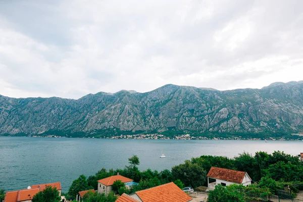 Kotor, Karadağ'defne