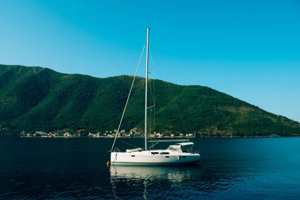 Yachts, boats, ships in the Bay of Kotor — Stock Photo, Image