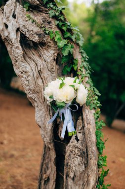 Düğün gül ve peonies zeytin ağaç kabuğu üzerinde. Montene düğün