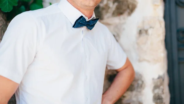 The bow tie. Close the frame — Stock Photo, Image