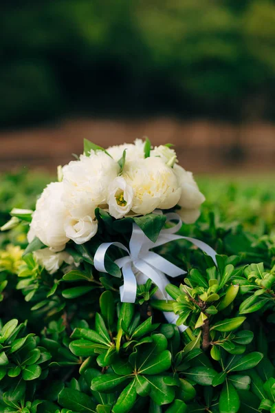 Rosas de boda y peonías en la hierba — Foto de Stock