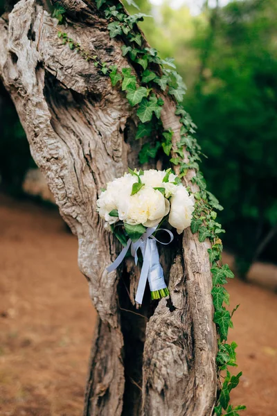 Rosas de boda y peonías en corteza de olivo. Boda en Montene — Foto de Stock