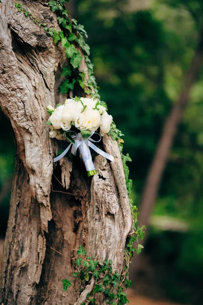 Rosas de boda y peonías en corteza de olivo. Boda en Montene — Foto de Stock