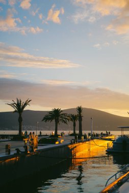 Gün batımında bir palmiye ağacının silueti