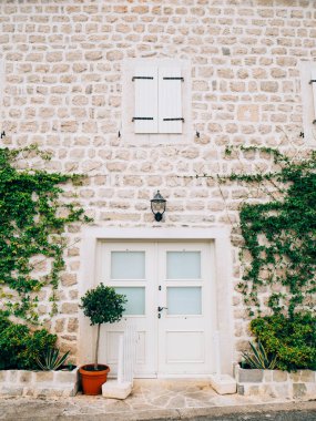 Eski beyaz kapılar. Ahşap doku