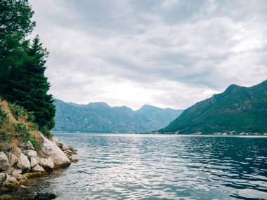Kotor, Karadağ'defne