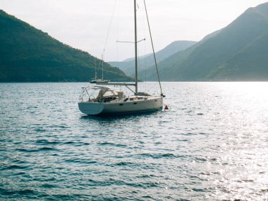 Yatlar, tekneler, gemiler Kotor Körfezi