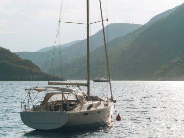 Yatlar, tekneler, gemiler Kotor Körfezi