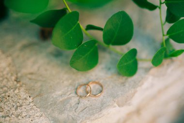 Le arasında yeşil çim taşları üzerinde düğün yüzük