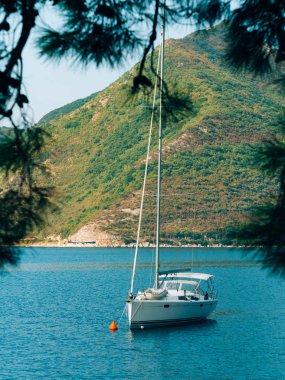 Yatlar, tekneler, gemiler Kotor Körfezi