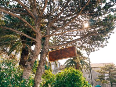 Yönetim Kurulu ormandaki yazıtlar için