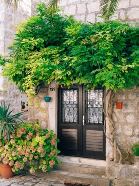 Eski siyah kapılar. Ahşap doku. Metal doku