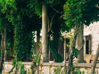 Park Milocer, Villa, Kraliçe plaj. Ada, Sveti Stefan yakınındaki Karadağ.