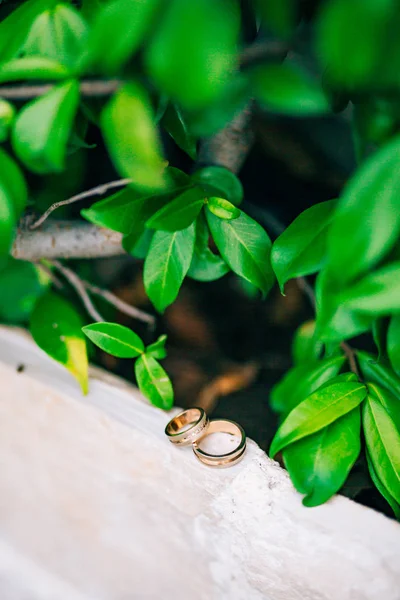 Bruiloft ringen op de stenen in het gras, tussen het groen, le — Stockfoto
