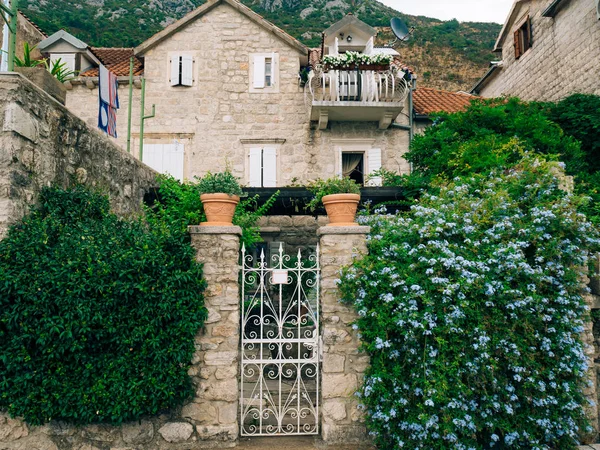 Puertas de hierro forjado Hecho a mano — Foto de Stock