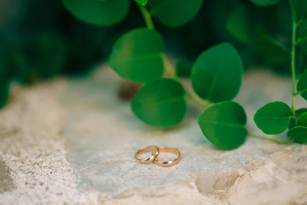 Bruiloft ringen op de stenen in het gras, tussen het groen, le — Stockfoto