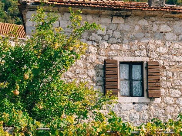 Grüne Fensterläden. die Fassade der Häuser — Stockfoto