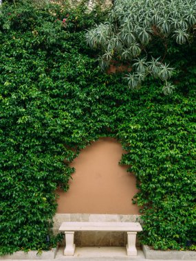 Tezgah parkta. Ahşap ile beton tezgah