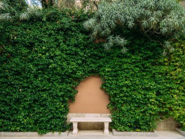 Tezgah parkta. Ahşap ile beton tezgah