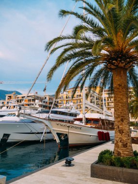 Porto Karadağ yat. Tivat elit alanı