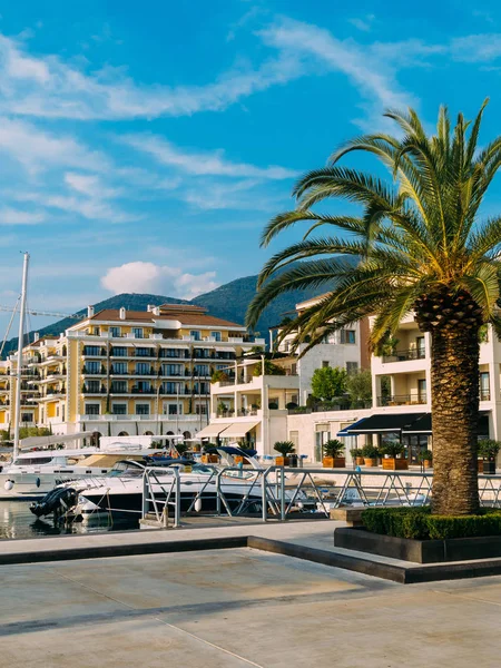 Hotel Regent, Tivat, Montenegro, Porto Montenegro — Stok Foto